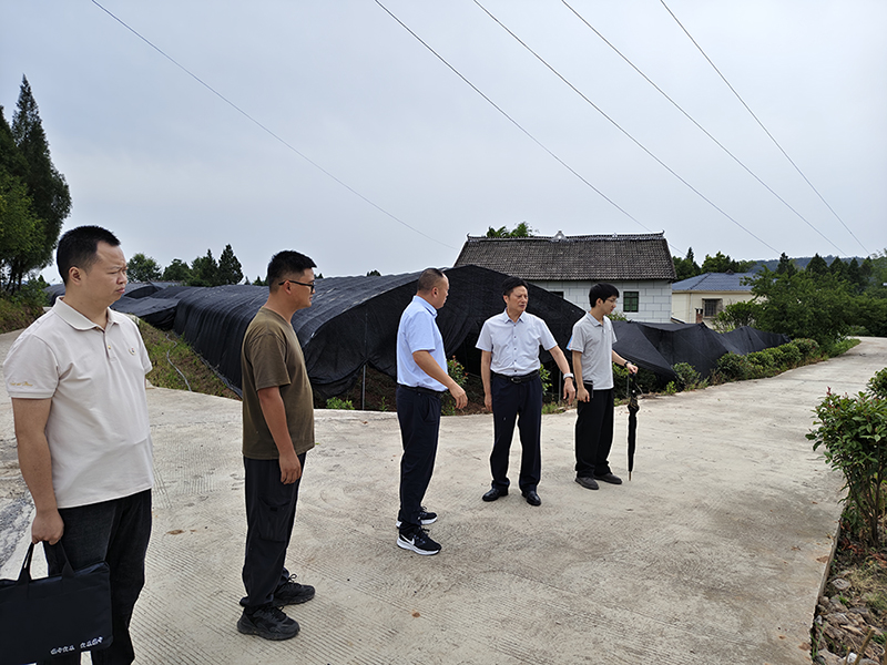 巴中發(fā)展集團開展安全生產暗訪督查